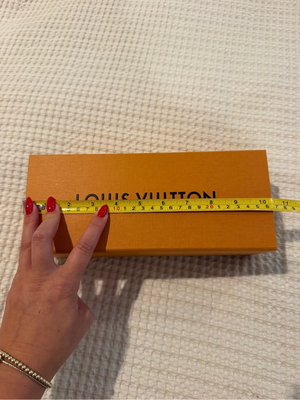 Louis Vuitton designer louis